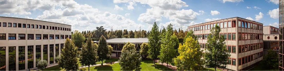 Verona Üniversitesi 